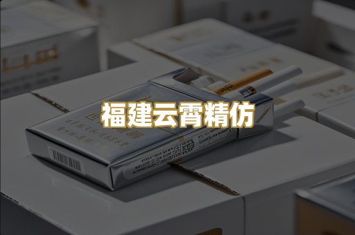 福建云霄精仿